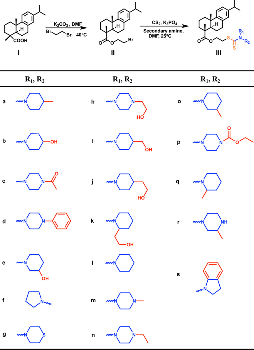 The synthesis route of dehydroabietic acid-dithiocarbamate hybrids (IIIa ∼ IIIs).