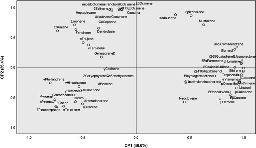 Principal component analysis (PCA) loading plots revealing the compounds present in rhizomes and leaves of A. argyrophyllum and A. dealbatum.