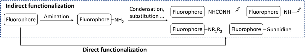 Current indirect functionalization strategy in the synthesis of FMs (in dash box) and the proposed direct functionalization strategy.