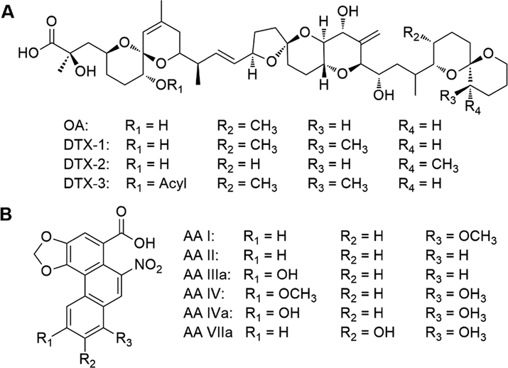 Chemical structures of (A) okadaic acid (OA) and dinophysistoxins (DTXs) and (B) aristolochic acid (AA) and some typical analogues.