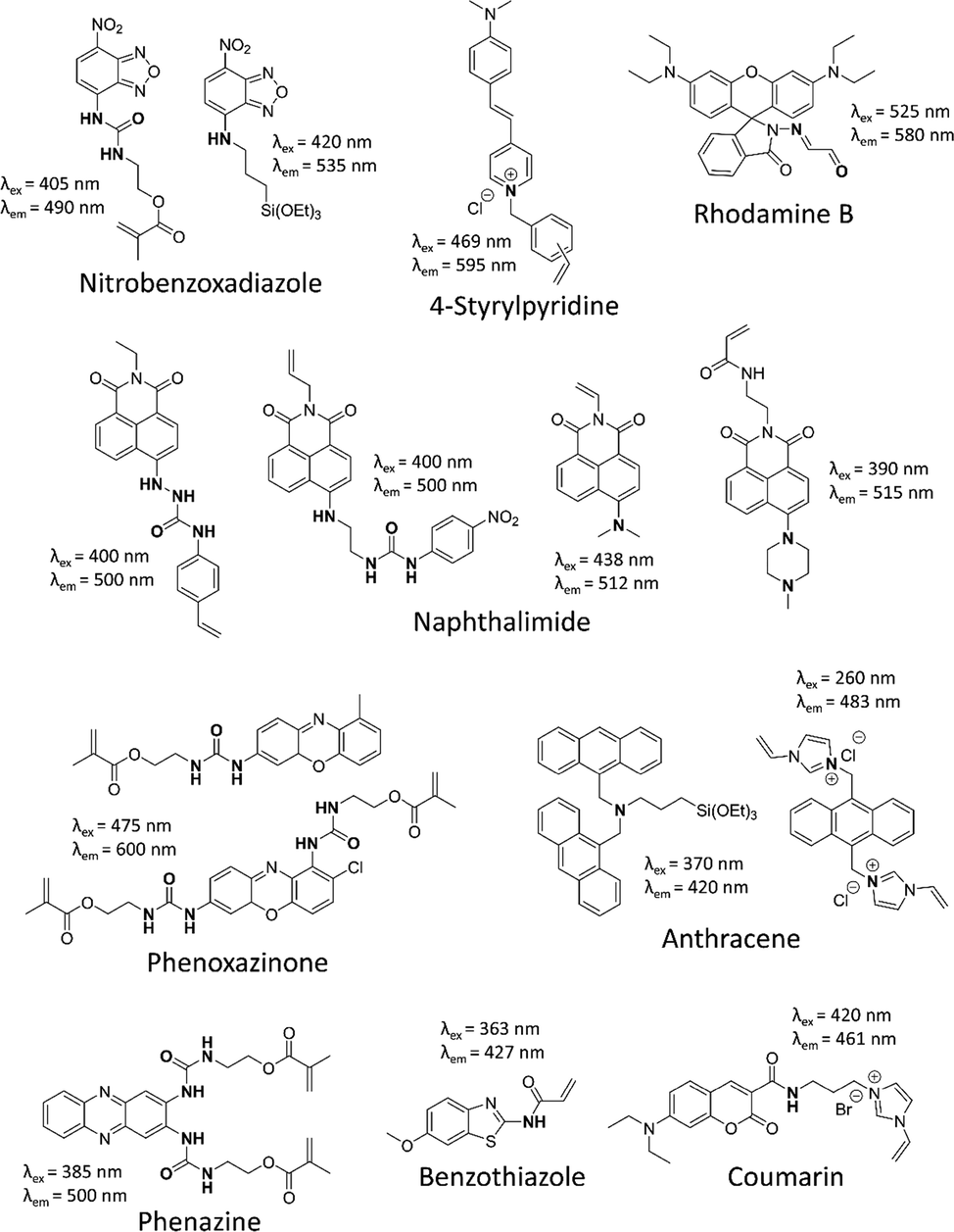 FMs in the synthesis of fMIPs targeting acids and anions.