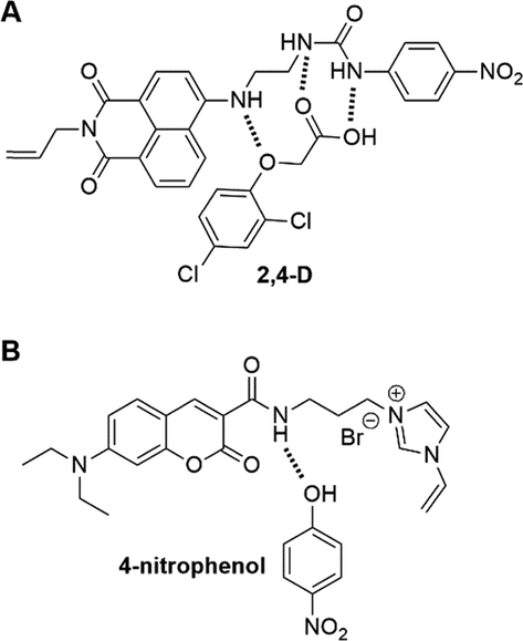 The illustration of (A) the dual recognition pattern of napthalimide-type FM to 2,4-D and (B) the possible H-bond between coumarin-based FM and 4-nitrophenol. Adapted with permission from reference (Limaee, 2020; Dai, 2020).