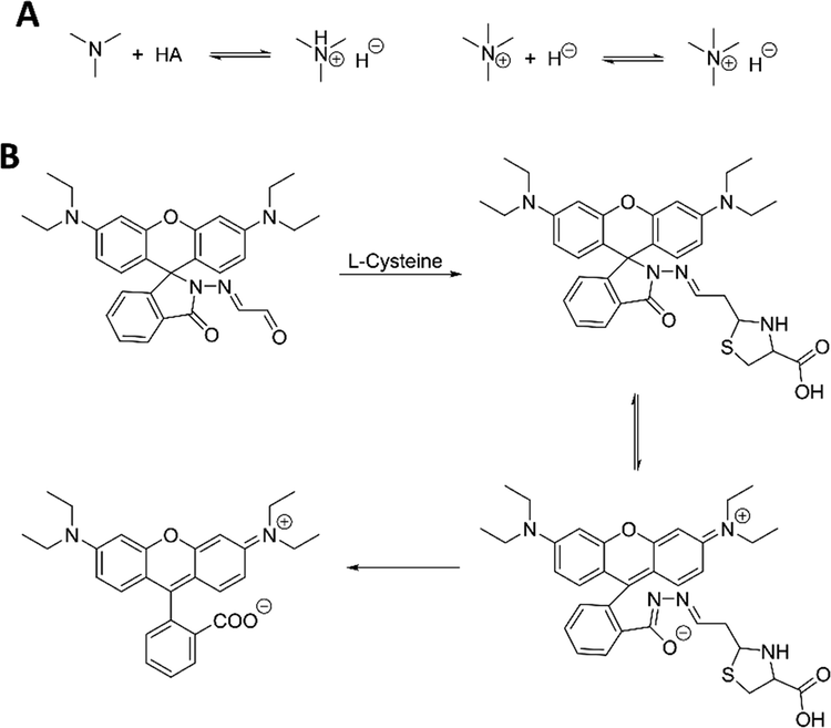 (A) Equilibria of PET process in the interaction between templates and FMs. (B) Interaction mechanism of fluorescent detection for l-cysteine with reaction-type FM. Adapted with permission from reference (Cai, 2014).