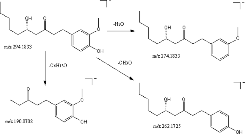 Fragmentation pathway of 6-gingerol in negative ion mode.