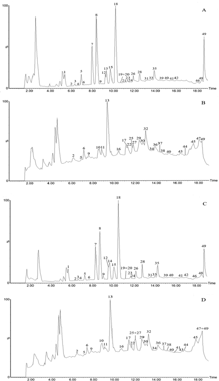 The typical total ion chromatograms. A: positive ions of dried ginger; B: negative ions of dried ginger; C: positive ions of stir fried ginger; D: negative ions of stir fried ginger.