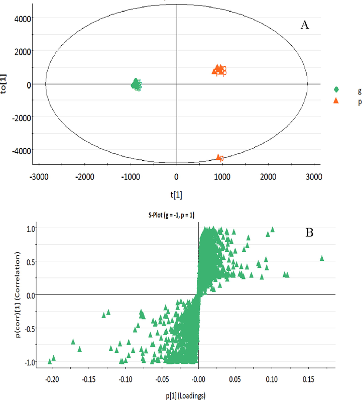 OPLS-DA (A) and S-Plot (B) of UPLC-Q/TOF-MS data of dried (g) and stir fried ginger (p).