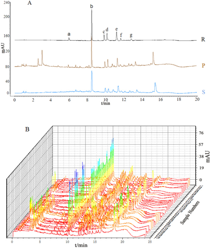 A: UPLC chromatogram of (S) dried ginger, (P)stir fried ginger, and (R) a mixture of reference substances. B: Eighteen batches of dried and stir fried ginger. Seven peaks were identified by comparison with chromatograms of standard substances: (a) zingiberone, (b) 6-gingerol, (c) 8-gingerol, (d) 6-shogaol, (e) 10-gingerol, (f) 8-shogaol, (g)10-shogaol.