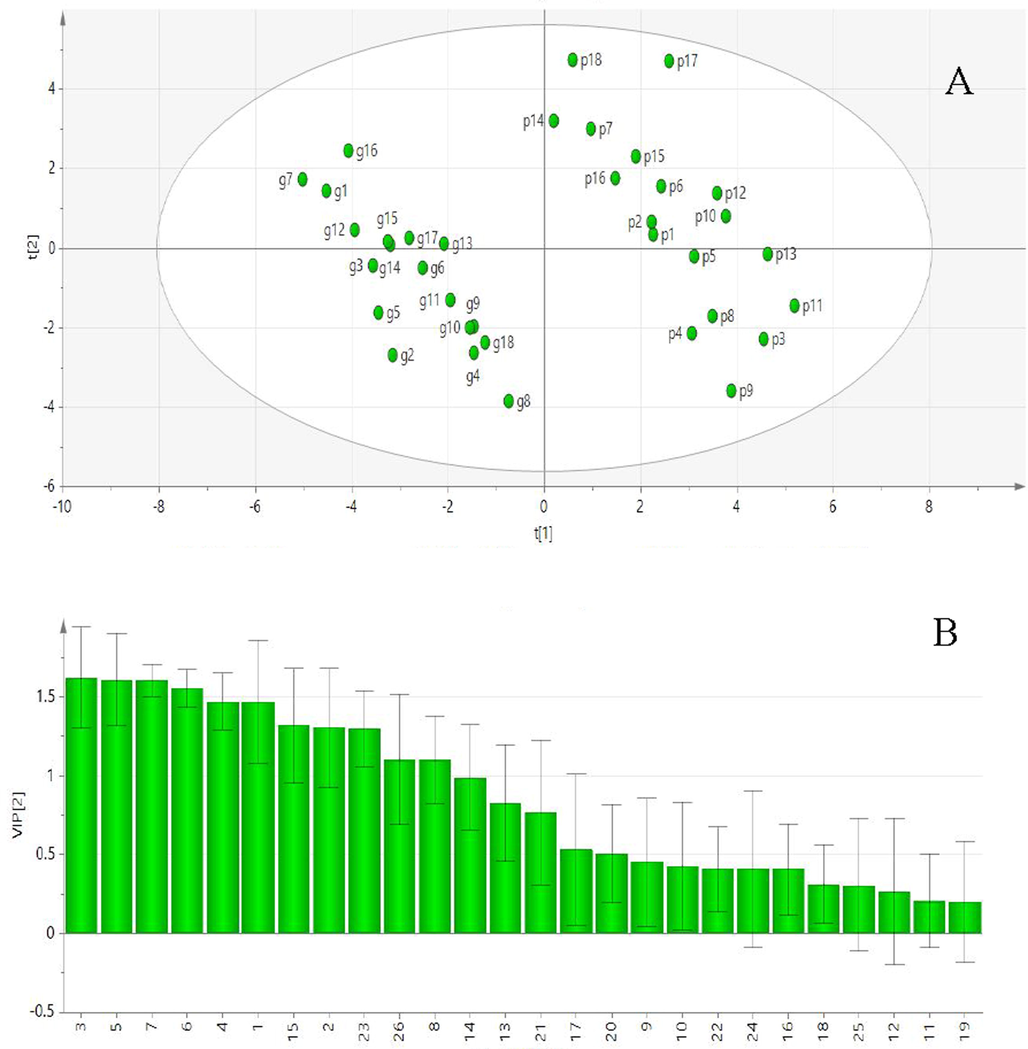 A:Score scatter plot of PCA. B:VIP of OPLS dried (g) and stir fried ginger (p).