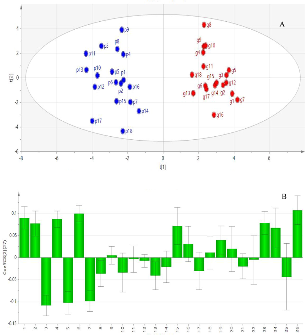 A: OPLS-DA score scatter plot of peak areas and coagulation effect of dried (g) and stir fried ginger (p). B: PLSR normalized regression coefficient graph.