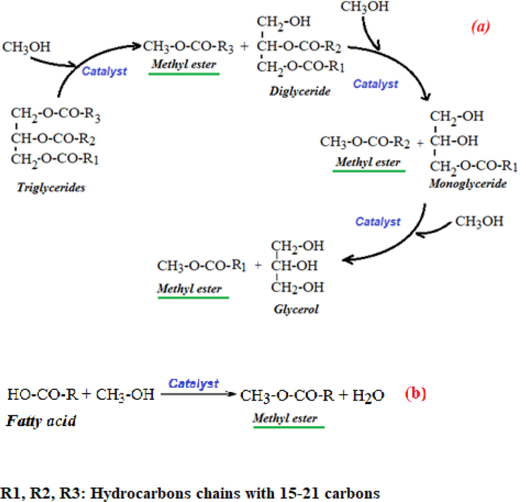 Transesterification reactions of Glycerides with methanol to get methyl esters (a); Esterification of fatty acids to produce biodiesel (methyl ester) (b).