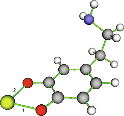 Metal cation-dopamine o-quinone complex with unprotonated amino group with marked bond critical points. Carbon atoms are represented with grey, oxygen atoms with red, hydrogen atoms with white, nitrogen atoms with blue, and metal cation with yellow colour. Numbers 1 and 2 denote specific bond critical points which electronical density analyses are presented in Table 2.