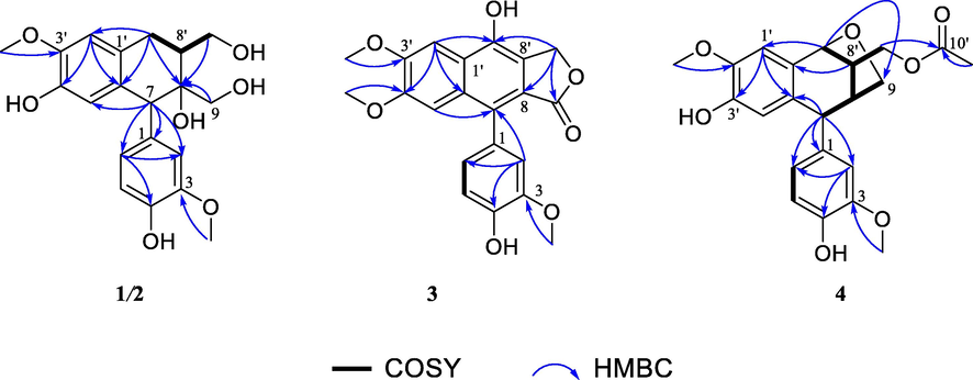 1H–1H COSY and key HMBC correlations of compounds 1–4. (Color need be used for this figure in print).