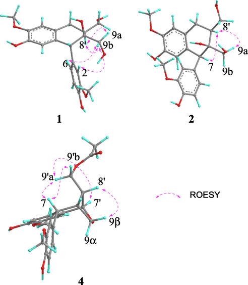 Key ROESY correlations of compounds 1, 2 and 4. (Color need be used for this figure in print).