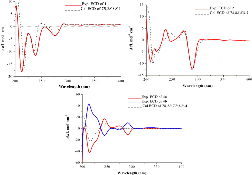 Experimental and calculated ECD spectra of compounds 1, 2 and 4. (Color need be used for this figure in print).