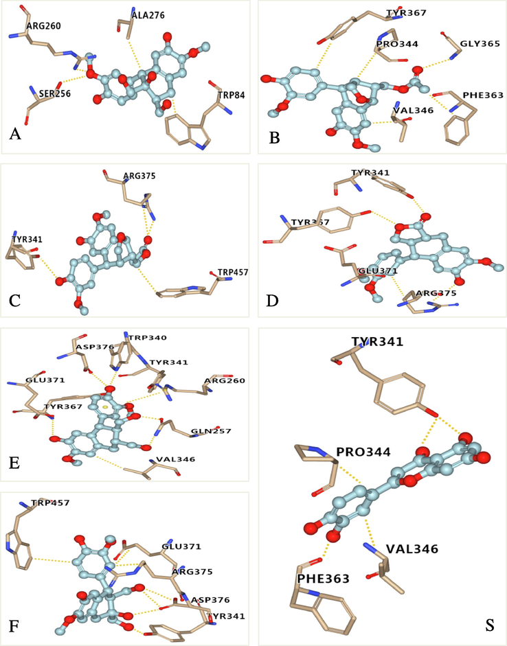 Molecular docking simulations of compounds 2 (A), 4a (B), 4b (C), 5 (D), 6 (E), 9 (F) and quercetin (S) with iNOS. The hydrogen bonds interactions are shown by yellow dashed lines. (Color need be used for this figure in print).