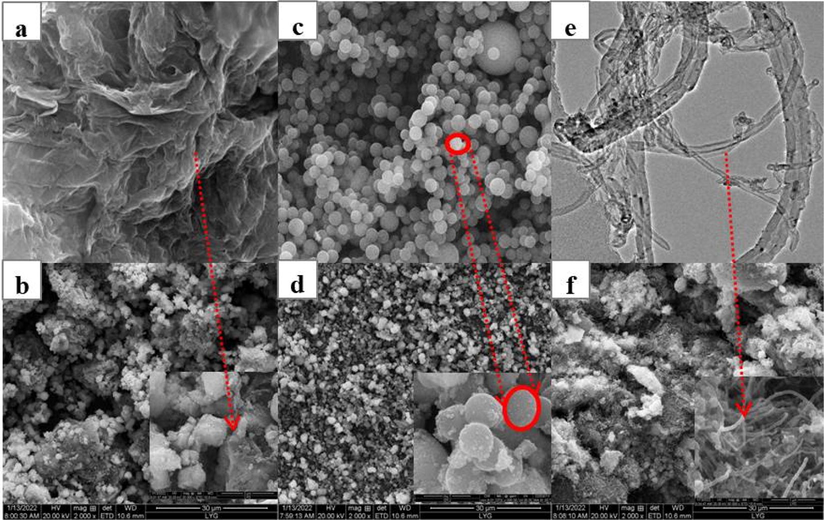 Morphology of Carbon Materials and Composites (a) GO (b) Cna (c) OCNTs (d) PAA18-GO (e) PAA18-Cna (f) PAA18-OCNTs.