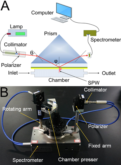 Schematic diagram (A) and photograph (B) of the wavelength-modulated SPR analyzer.