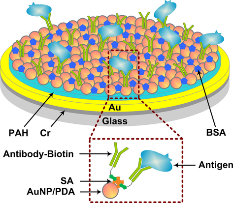 Schematic diagram of the SPR biosensor chip structure.