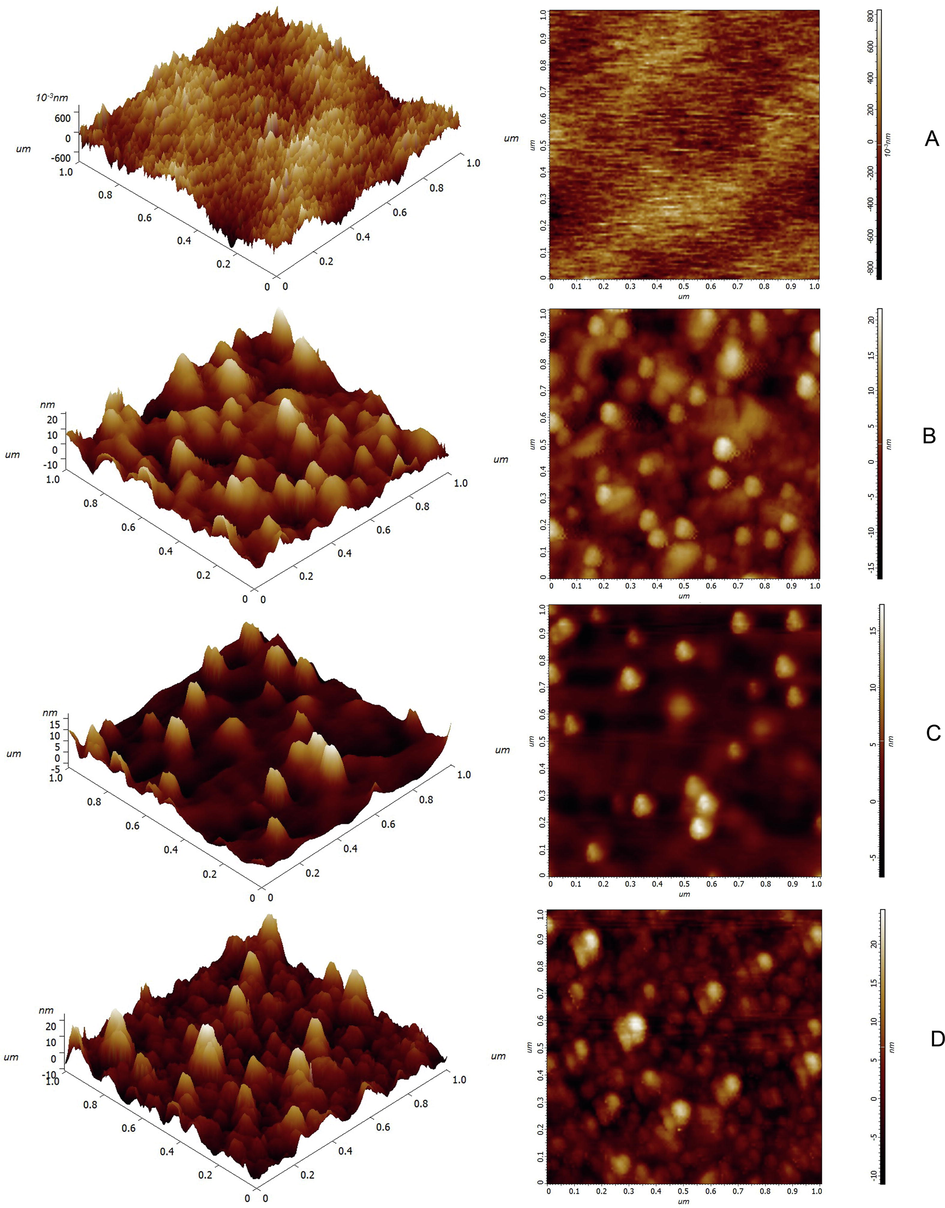 AFM image (1 μm × 1 μm) of the surfaces of Au film (A), Au/PAH/AuNP film (B), Au/PAH/AuNP/PDA film (C), and SPR.