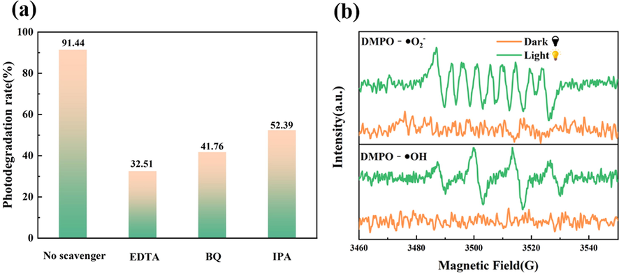 (a) DMPO spin-trapping ESR spectra over AZB1 samples under dark and visible light condition for DMPO−•O2− and DMPO−•OH, (b). The effect of different quenchers on the TC degradation by AZB1 photocatalysts.