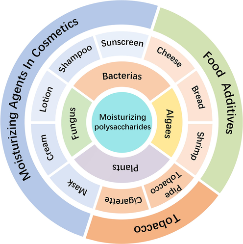 Source and application of moisturizing polysaccharide.