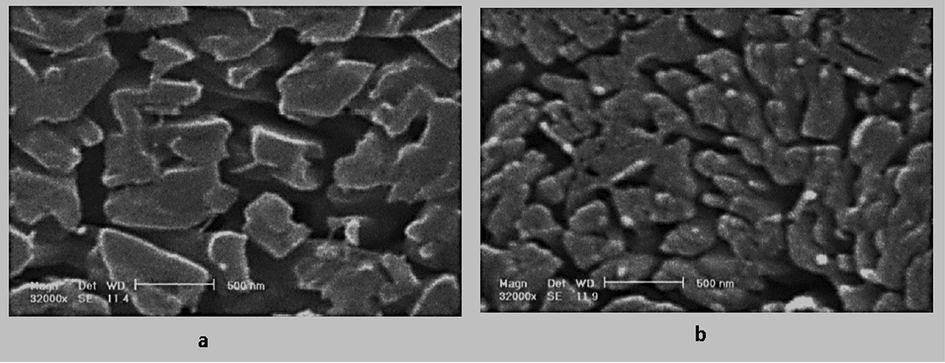 SEM image of 5-Fluorouracil obtained by GAS process at 34℃, the CO2 flow rate of 2 mL/min, initial solute concentration 60 mg/mL, and (a) pressure 12 MPa, (b) Pressure 15 MPa (Esfandiari 2013).