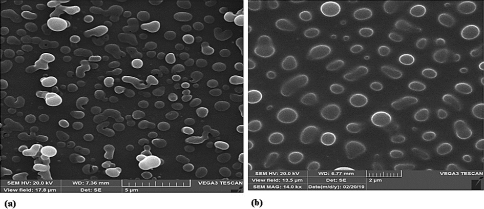 SEM images of produced finasteride by a GAS process (13 MPa, 35 ℃) at various initial solute concentration (a)10 and (b)40 mg/mL (Najafi 2021).