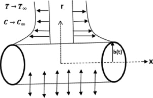 Geometry of the flow problem.