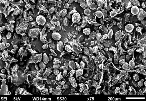 Scanning electron micrograph of PCS.