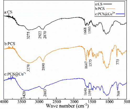 Infrared spectra of CS, PCS, and PCS@Cu2+.