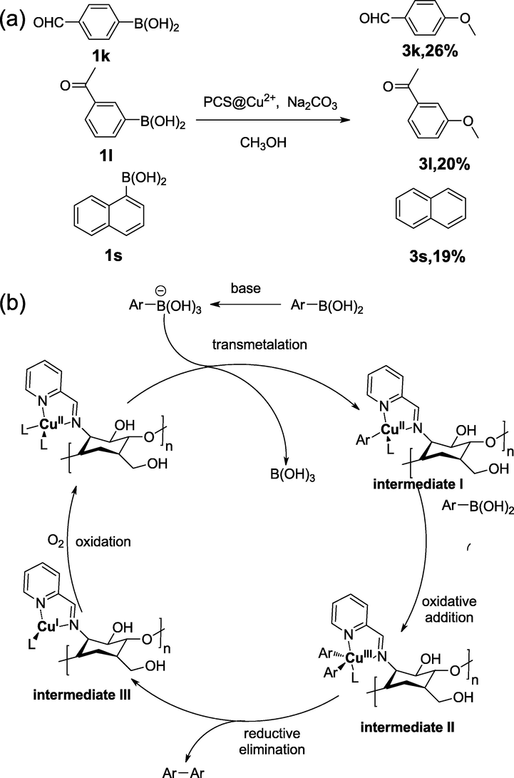 (a) By-products in the self-coupling reaction of 1 k, 1 l and 1 s.(b) Plausible mechanism for the PCS@ Cu2+- Catalyzed the self-coupling reaction, “L” represents “OAc¯”or “HCO3¯”.