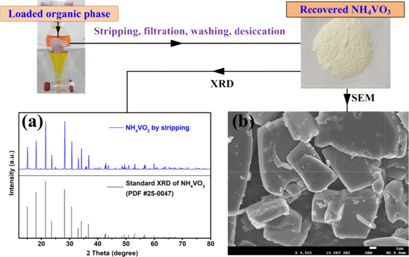 XRD patterns (a) and SEM (b) of recovered NH4VO3.
