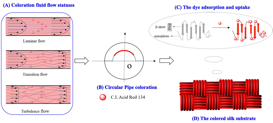 Schematic diagram of the circular pipe dyeing of silk fabric in different flow statuses by employing the self-built special fluid dynamics coloration machine: (A) coloration fluid flow statuses, (B) circular Pipe coloration, (C) the dye adsorption and uptake, (D) the colored silk substrate.