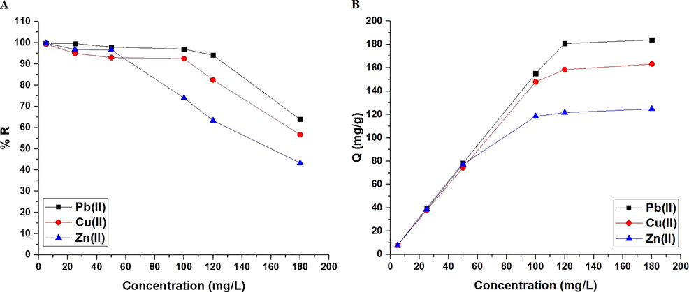 The influence of concentration of the examined metal ion solution on % removal (A) and adsorption capacity (B).