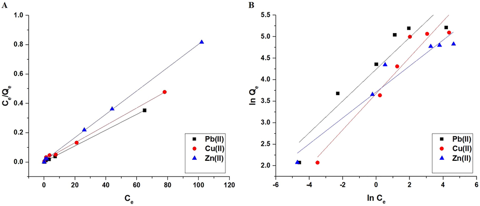 The Langmuir (A) and Freundlich (B) isotherms.