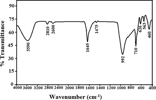 The FT-IR spectra of the sodium aluminum silicate hydrate/thioglycolic acid composite.