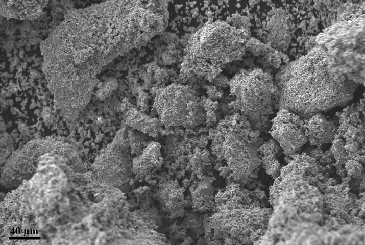 The FE-SEM image of the sodium aluminum silicate hydrate/thioglycolic acid composite.