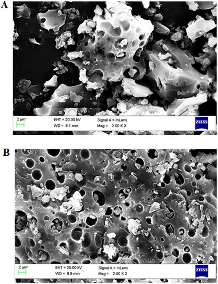 Surface morphology of FVSP (A) and FVSP-iron (III) (B) using SEM.