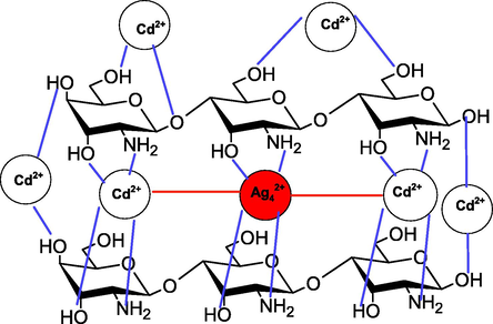 Adsorption of Cd2+ with Chi-Ag.