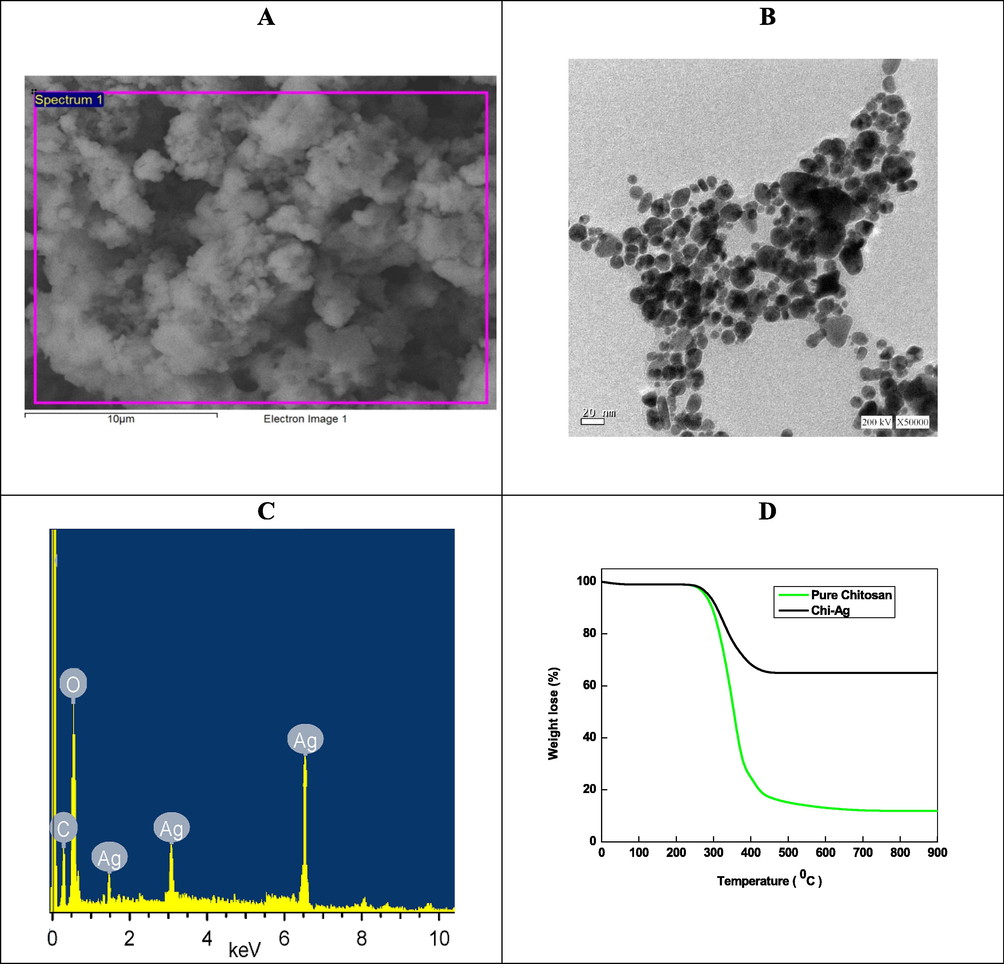 SEM (A), TEM (B), EDX (C) and TGA of Chi-Ag (D). Reaction conditions: [chitosan] = 2.0 mM, [NaBH4] = 0.01 mol/L and Ag+ ions = 1.0 mM.