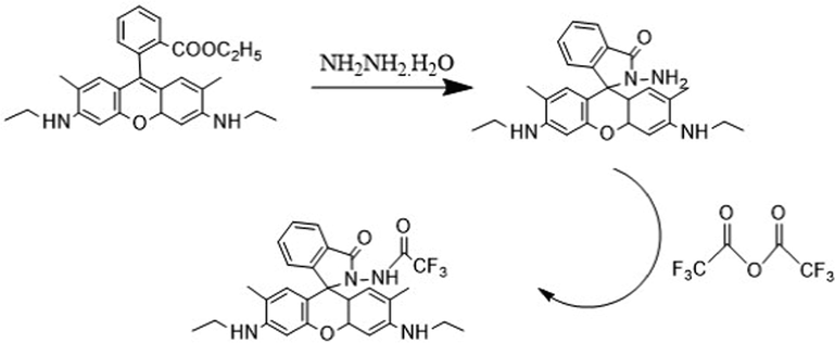 Synthesis of sensor 1.