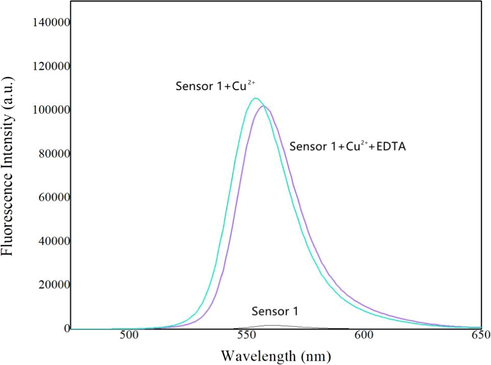 Fluorescence spectra of 0.5 mM sensor 1 in the presence of 0.5 mM Cu2+ and 3.0 mM EDTA.