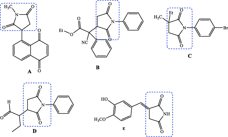 Structures of bioactive succinimide derivatives.