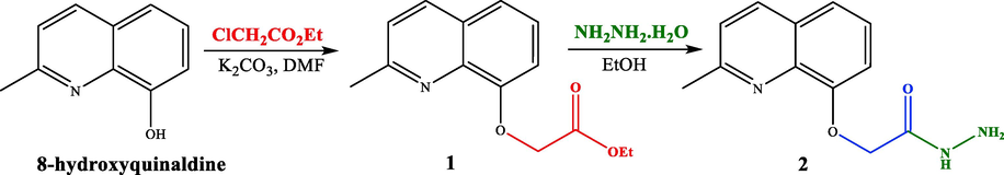 Synthetic pathway to quinoline hydrazide 2.