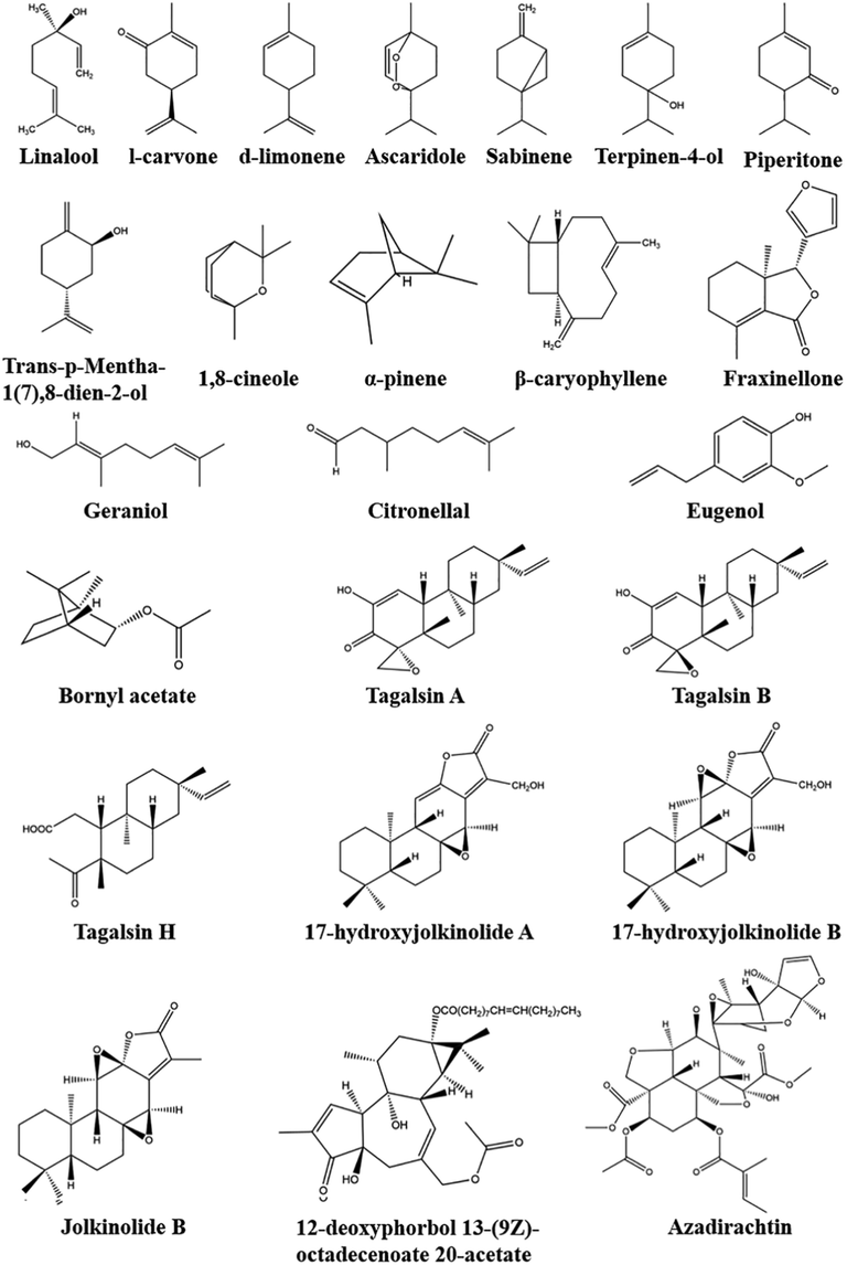 Structures of terpenoids with insecticidal activity.