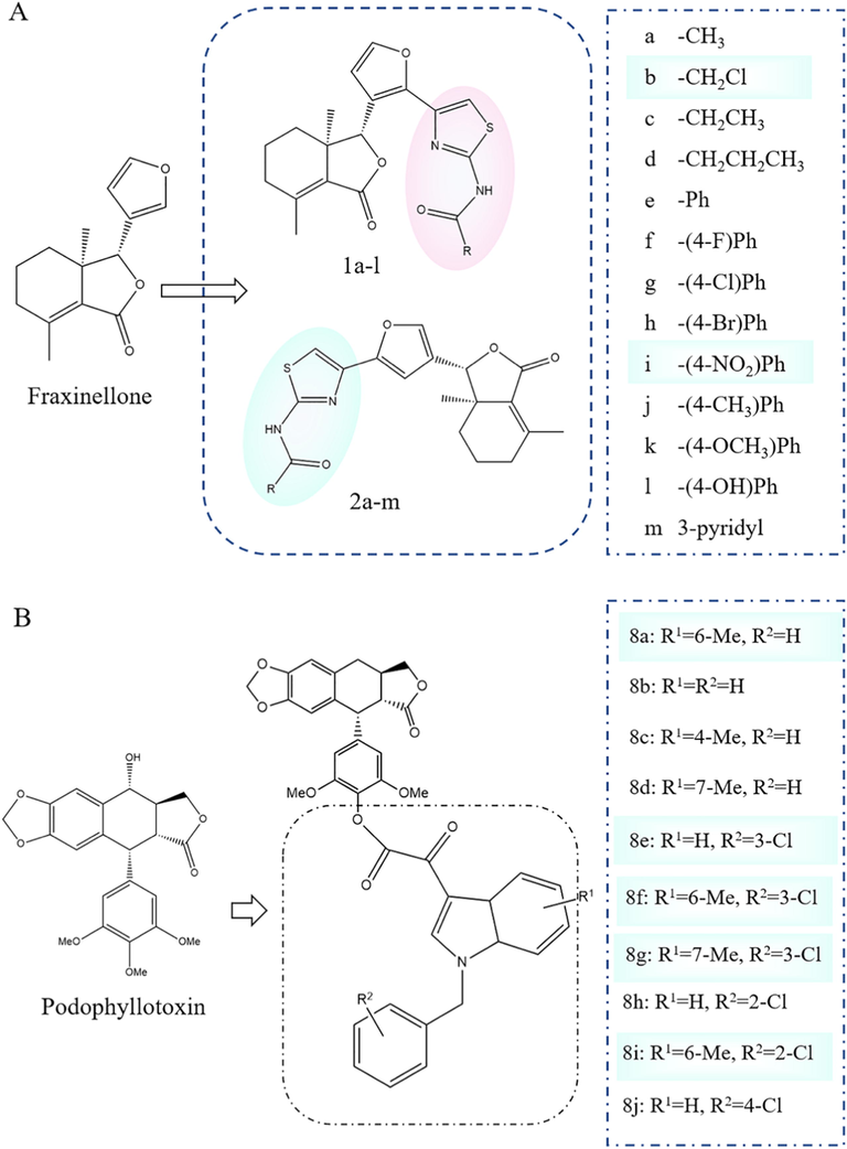 Examples of structural modifications of natural products as model products (A. Fraxinellone and its derivatives B. Podophyllotoxin and its derivatives).