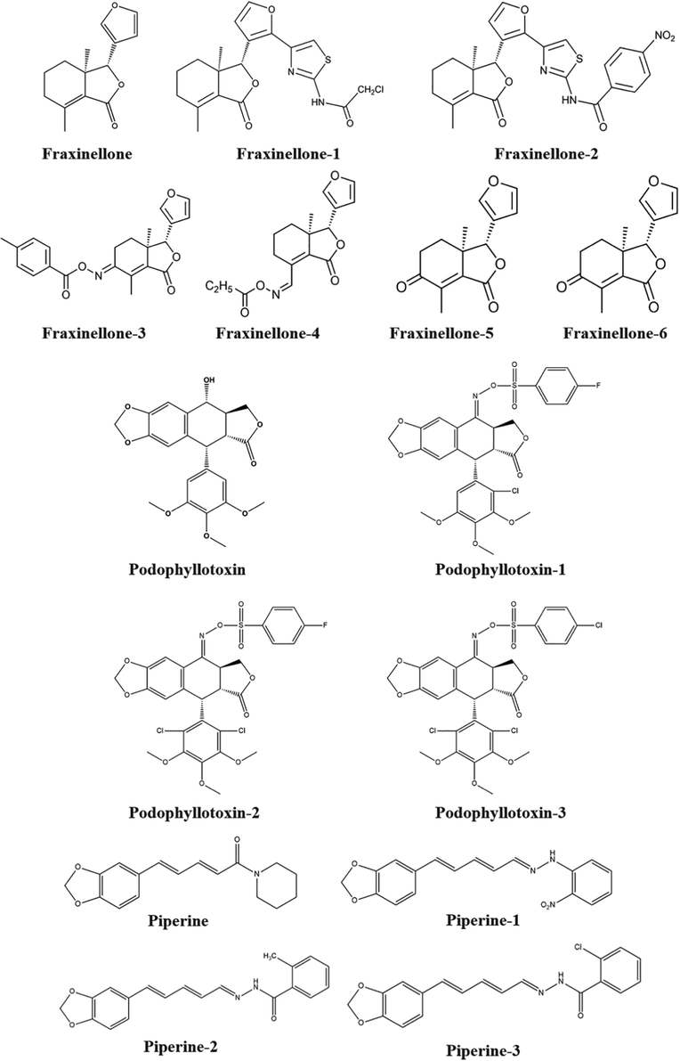 Examples of structural modifications of natural products as model products (a. Fraxinellone and its derivatives b. Podophyllotoxin and its derivatives).