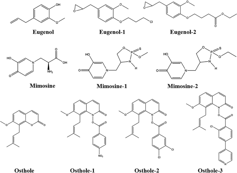 Examples of structural modifications of natural products as model products (a. Fraxinellone and its derivatives b. Podophyllotoxin and its derivatives).