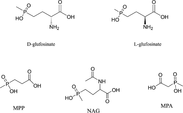 Chemical structure of d-glufosinate, l-glufosinate, MPP, NAG, and MPA.