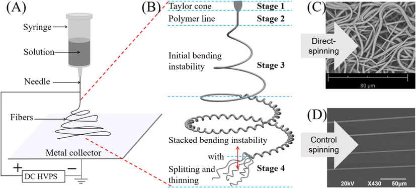 (A) Schematic diagram of e-spinning. (B) Four stages of enlarged fibers during e-spinning process. (C) Disordered fibers by conventional e-spinning device. (D) Aligned nanofibers by controlled/modified e-spinning device.